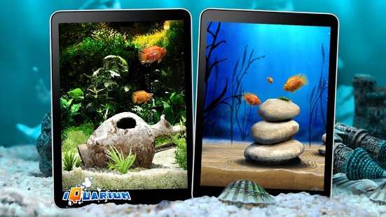 iQuarium(�ڴ�ˮ��ݰ�׿��)v1.0��ͼ1