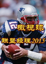 ��������˾���2015