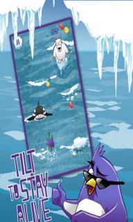 Penguin Surf(������ð�ձ�ˬ����)v1.1��ͼ1