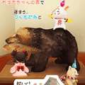 �Ĥ����Ѱ�Ұɾ�ʮ�������İ�