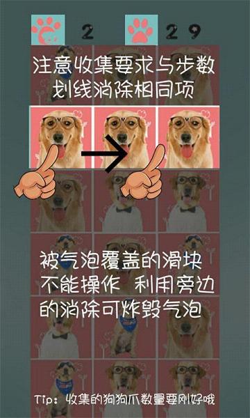 神犬小七消消乐无限金币版截图3