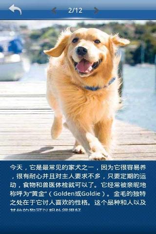 ʹ��С͵�ٷ���(��йŰС͵)v0.1��ͼ0