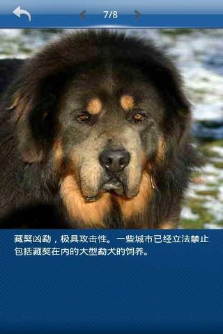 ʹ��С͵�ٷ���(��йŰС͵)v0.1��ͼ4