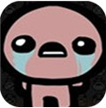 The BOI: Rebirth Resource(以撒的被缚:重生手机版)