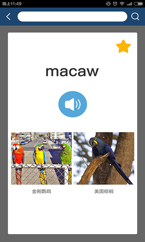 ������Ӣ����ʵ�app��ͼ4