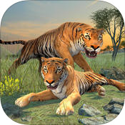 ����Clan of Tigers���ĺ�����