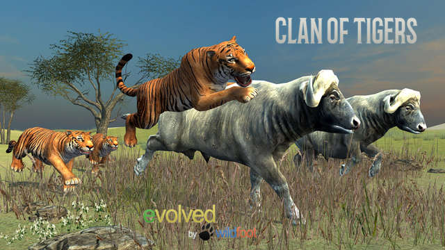 ����Clan of Tigers���ĺ�����v1.0��ͼ1