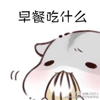 �����ʲô����������