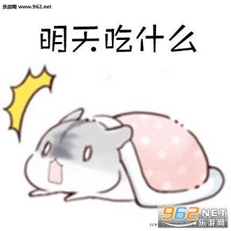 �����ʲô�����������ͼ0