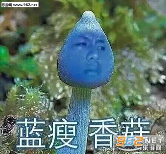�����㹽ϵ�б������ͼ0