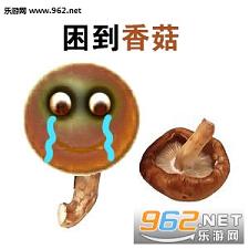 �������ݱ������ͼ0