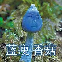 �����㹽Ӣ�İ�����