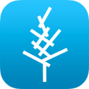 ��ľѧϰapp