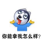 微博二哈表情包截图0