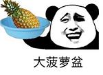 ppap����һ����������ͼ0