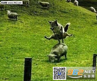 狼跳山羊搞笑图片完整版截图0