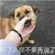 ���첻Ҫ��˵�˱����