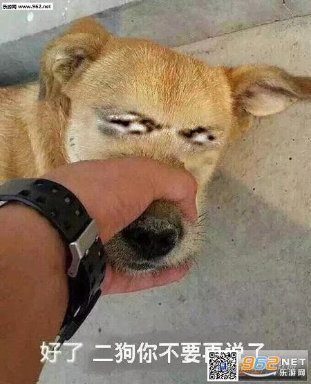 ���첻Ҫ��˵�˱������ͼ0