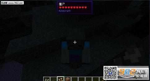 我的世界1.10.2额外信息显示MOD截图3