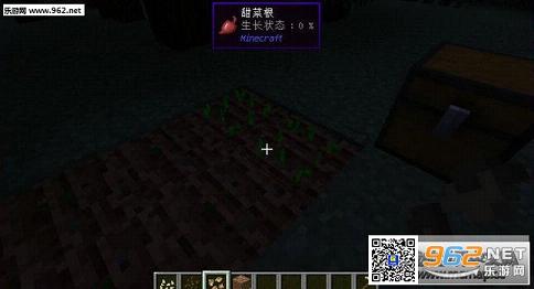 我的世界1.10.2额外信息显示MOD截图2