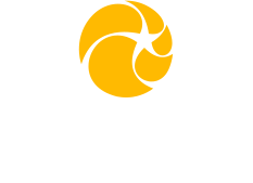 �ǹ�����ģ����