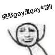 gay��gay�������