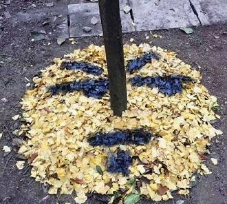 ����Ҷ�����
