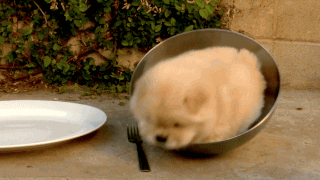 С���ȹ����ɰ�gif�����