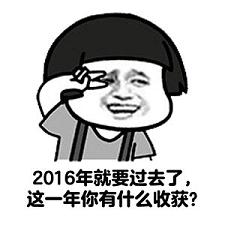 2016���ջ���ʲô�����
