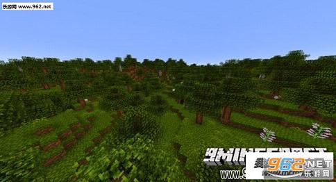 �ҵ�������ľ����ʰ���ͼ1