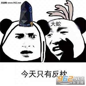 ��è���Ļ�������ʦ�����