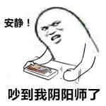 安静吵到我fgo了表情包截图1
