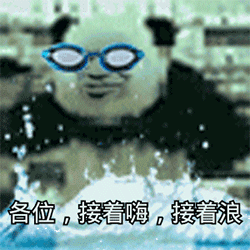 �̻���è�˱����gif��ͼ0