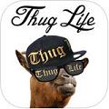 thug life�����ֻ���