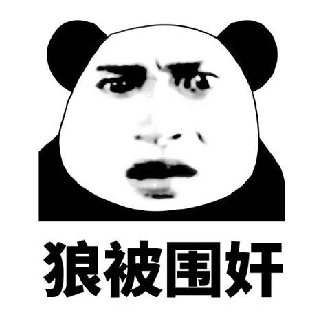 �ں���������