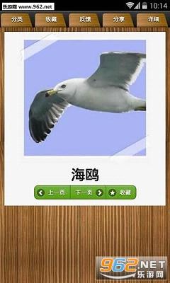 ��ͯ���ѧϰ���ֻ���v1.5.0��ͼ1