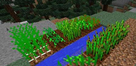 �ҵ�����1.10.2������ʳ��mod