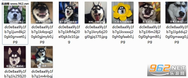 doge�Һú���Ŷ�������ͼ0