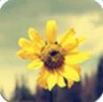 ����ʶ��app