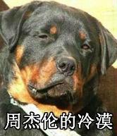 马思纯的微笑周冬雨的凝视系列表情包截图1