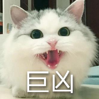 ��ͷè�䳬��gif�����