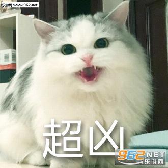 ��ͷè�䳬��gif�������ͼ1