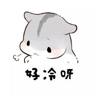 ���䰡����������