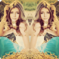 �������APP