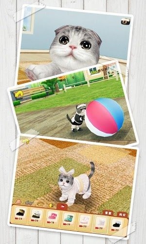 �Ķ�Сè��׿��v1.8.4��ͼ1