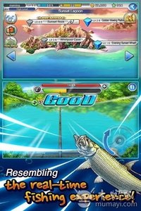 MASS FISHING��׿��v1.4.4��ͼ1