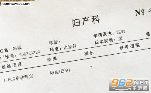 微信朋友圈怀孕化验单生成器截图0