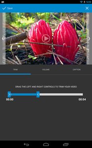 ��Ƶ�༭��(WeVideo)רҵ���ͼ2