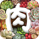 ����ֲ��APP