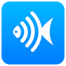 ����app